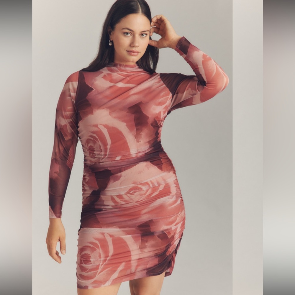 Anthropologie~The Maya Ruched Cowl-Neck Dress: Long-Sleeve Mesh Mini Edition XS - Picture 5 of 7